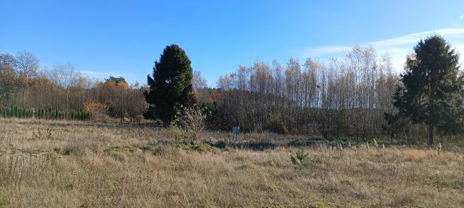 Działka budowlana Koleczkowo gm. Szemud, Spokojna
