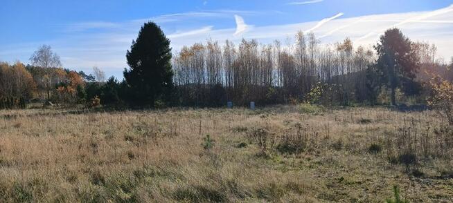 Działka budowlana Koleczkowo gm. Szemud, Spokojna