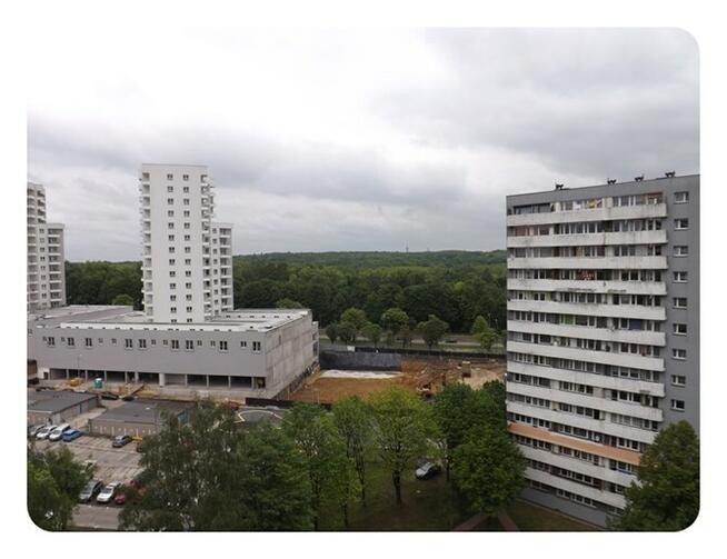 Jasne studio, miejsce postojowe, Tysiąclecia 19