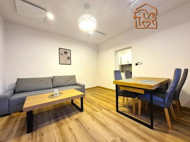 Kawalerka przyjazna dla zwierząt, Modrzejowska 89