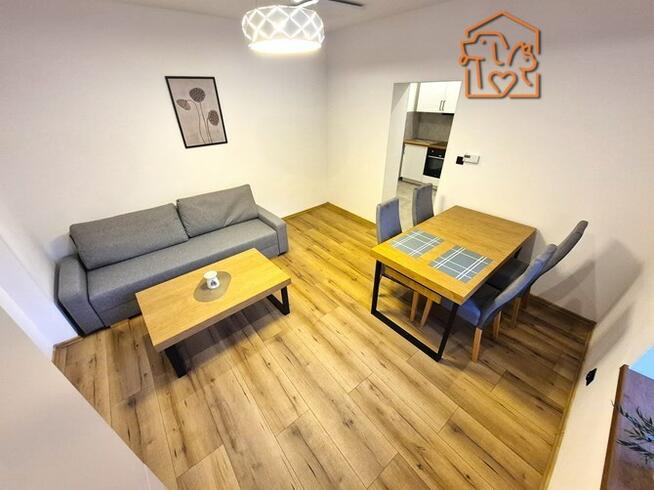 Kawalerka przyjazna dla zwierząt, Modrzejowska 89