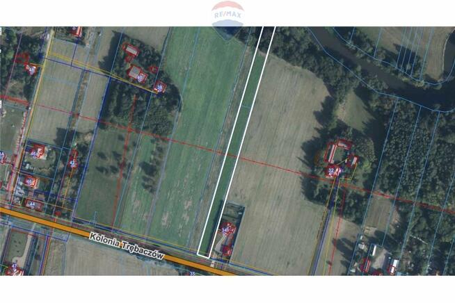 Działka budowlana i las