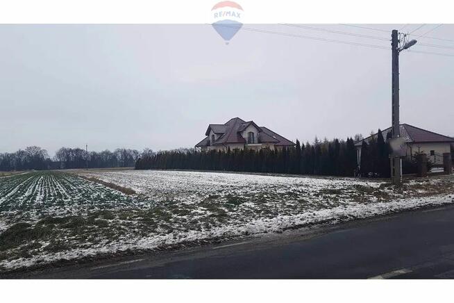 Działka budowlana i las