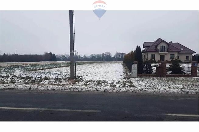 Działka budowlana i las