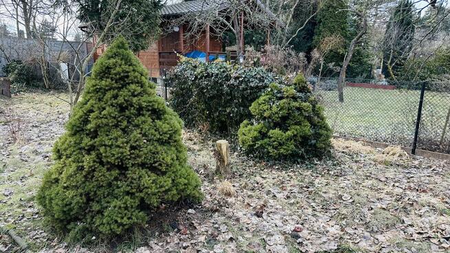 Działka ROD 308 m2 z potencjałem – Poznań, ul. Wspólna