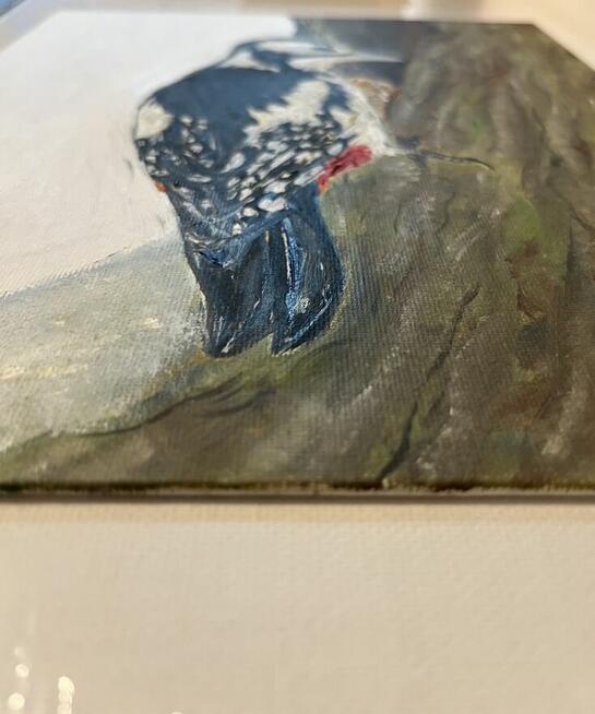 Strażnik lasu – dzięcioł, obraz olejny 24×30 ręcznie malo