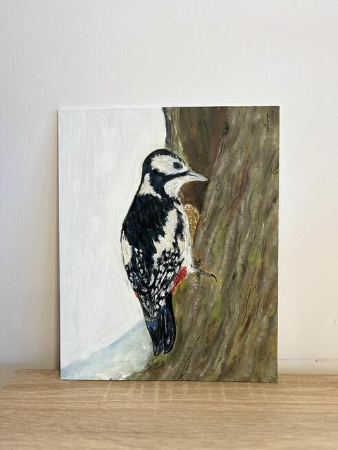 Strażnik lasu – dzięcioł, obraz olejny 24×30 ręcznie malo
