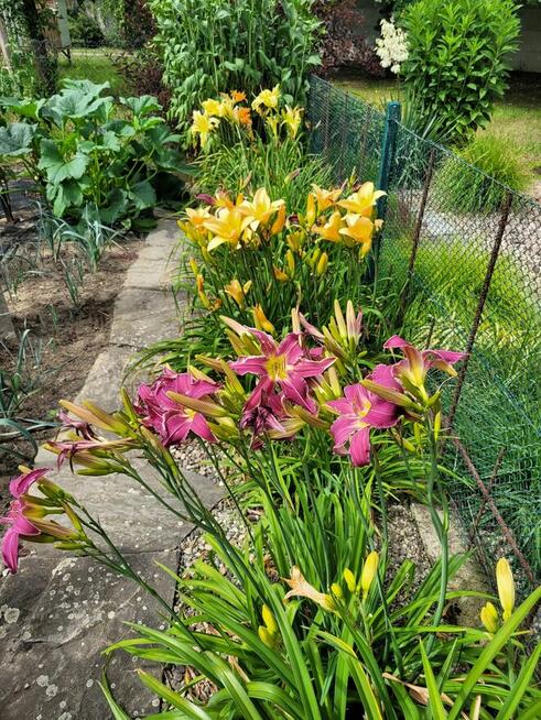 Działka rekreacyjna