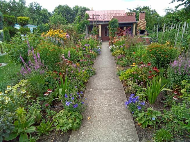 Działka rekreacyjna