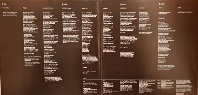 Album Steve Hackett – Wolflight (2LP+CD)