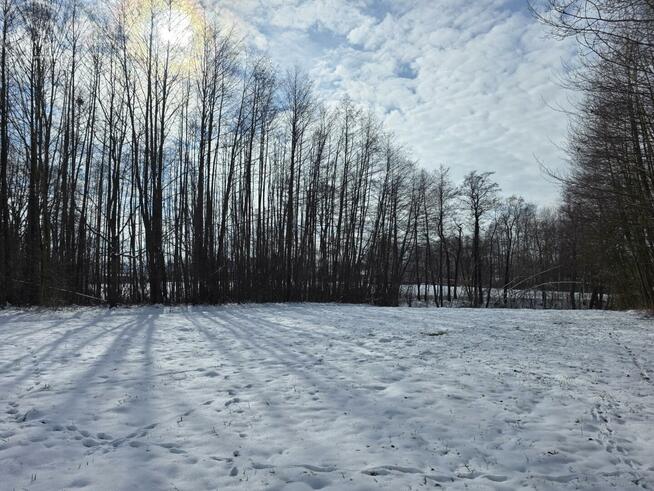 Działka rolna Wójtowa gm. Lipinki