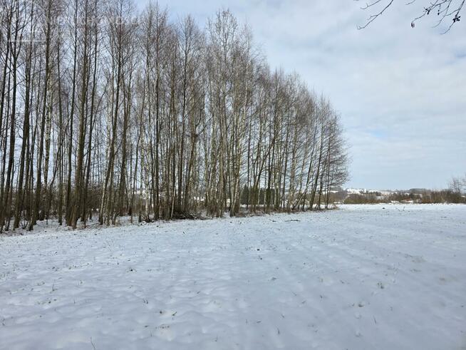 Działka rolna Wójtowa gm. Lipinki