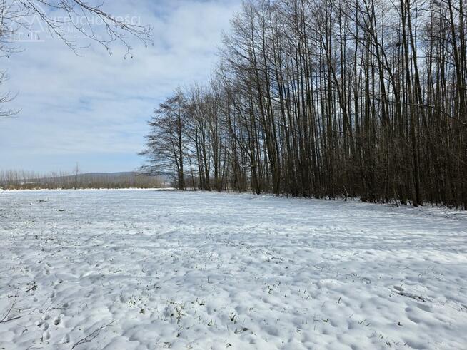 Działka rolna Wójtowa gm. Lipinki