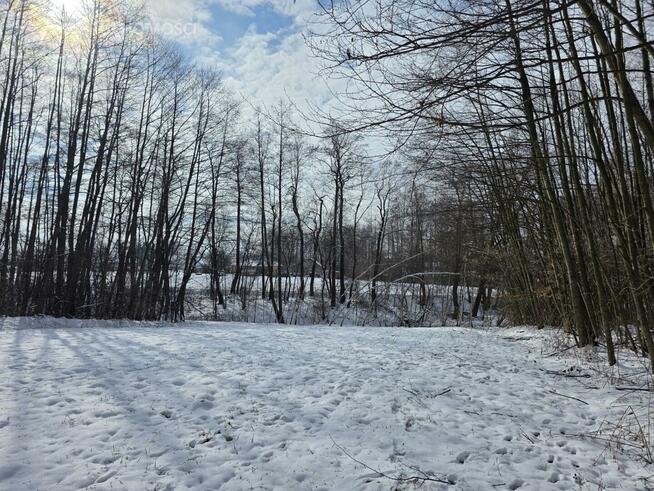 Działka rolna Wójtowa gm. Lipinki