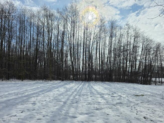 Działka rolna Wójtowa gm. Lipinki