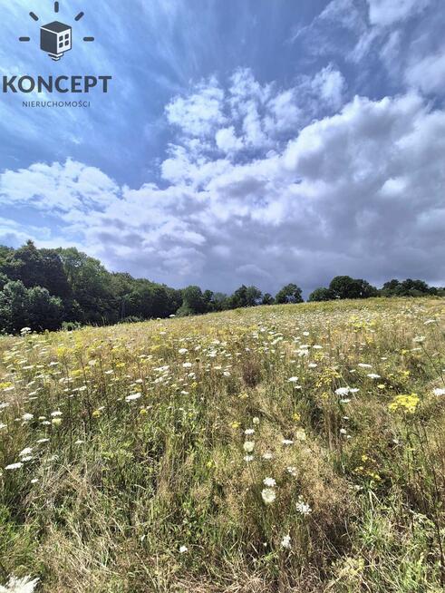 Działka na sprzedaż.