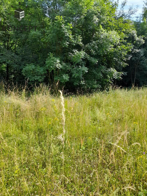 Myślinów, działka na sprzedaż.