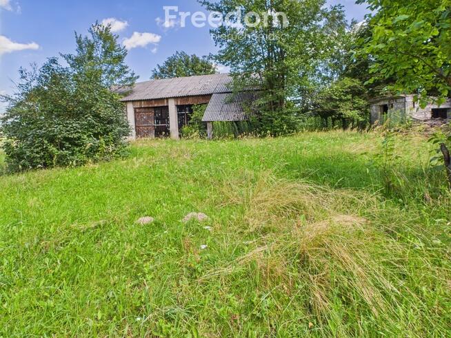 Śniadówka – piękne siedlisko do adaptacji