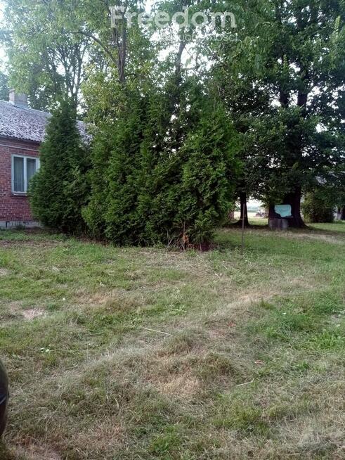 Śniadówka – piękne siedlisko do adaptacji