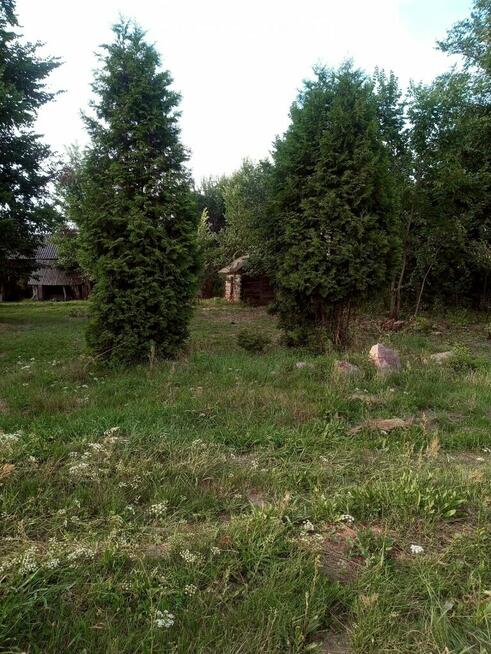 Śniadówka – piękne siedlisko do adaptacji