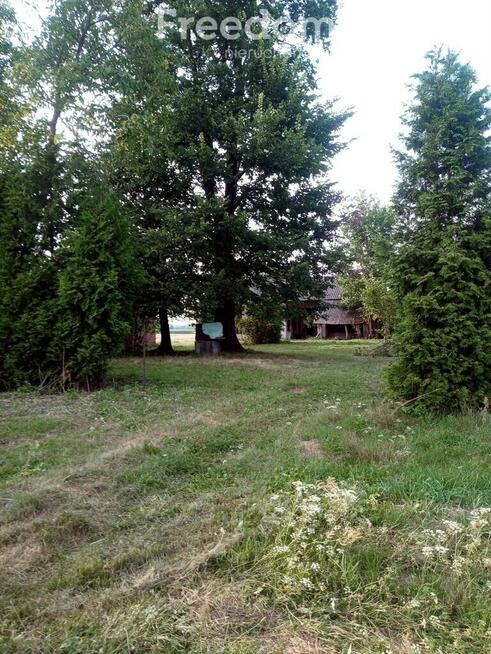 Śniadówka – piękne siedlisko do adaptacji