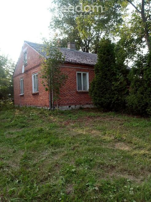 Śniadówka – piękne siedlisko do adaptacji