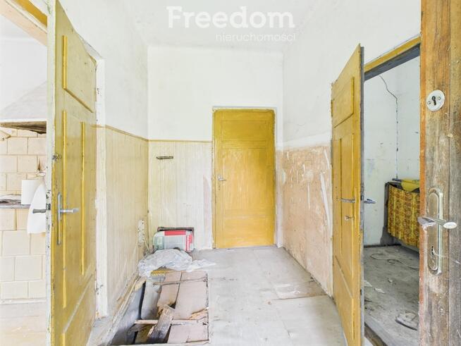 Śniadówka – piękne siedlisko do adaptacji