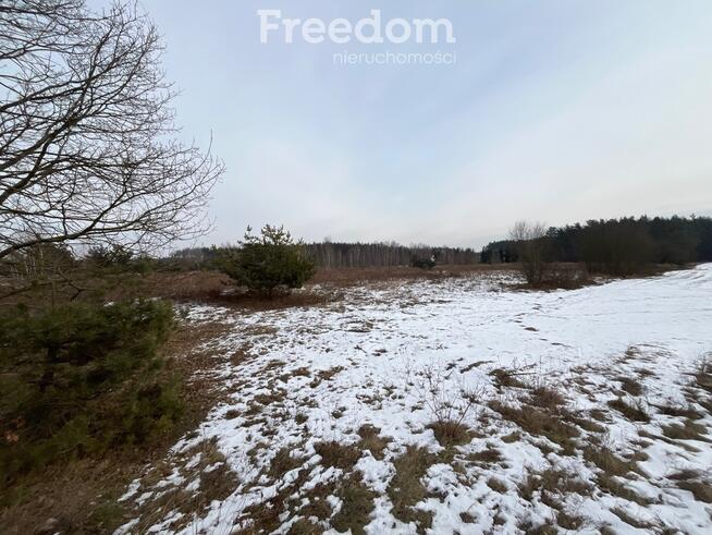 Działka usługowa w Lubiczu Dolnym