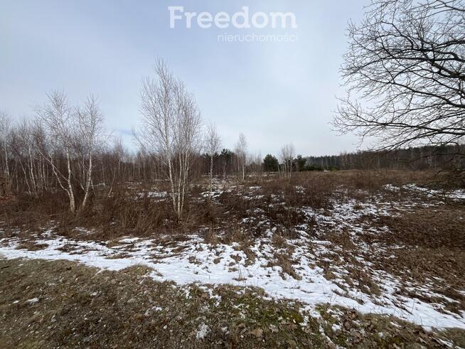 Działka usługowa w Lubiczu Dolnym