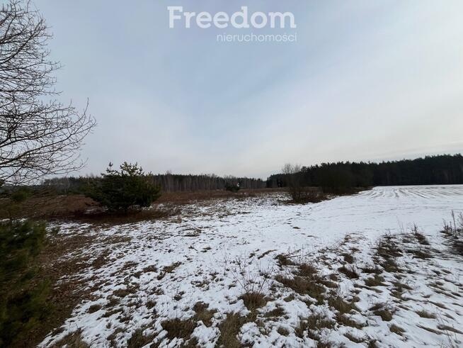 Działka usługowa w Lubiczu Dolnym