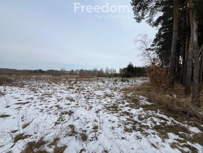 Działka usługowa w Lubiczu Dolnym