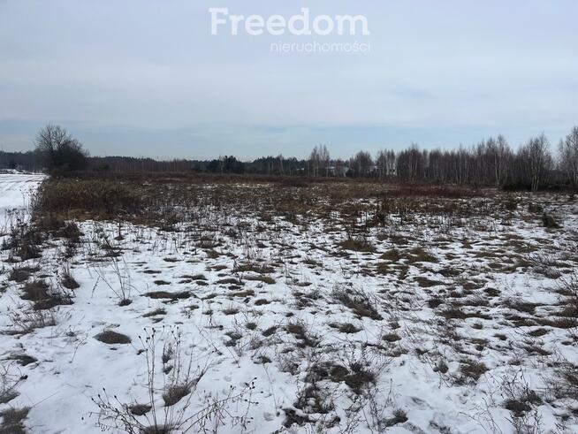 Działka usługowa w Lubiczu Dolnym