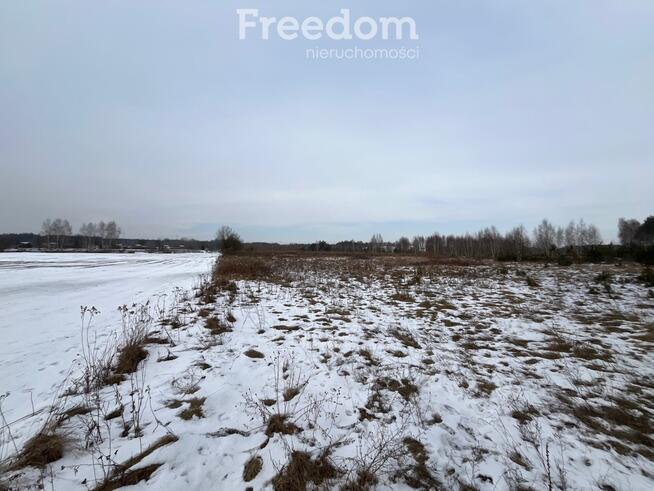 Działka usługowa w Lubiczu Dolnym