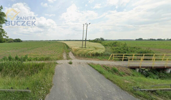 Działka rolna Młodzieszyn,