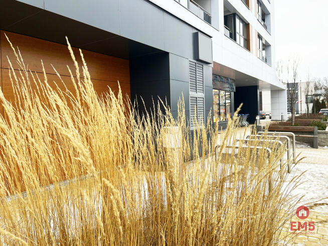 Lokal użytkowy Białystok Bojary,