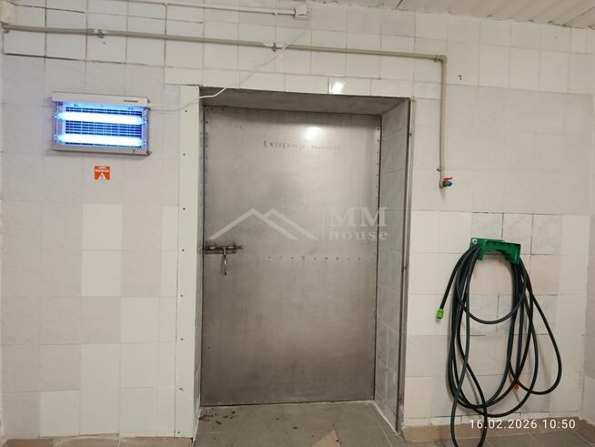 Zakład Przetwórstwa Rybnego we Fromborku.