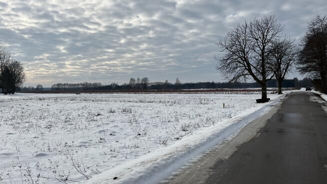 Działka rolno-budowlana w Kośminie gm. Żyrzyn.