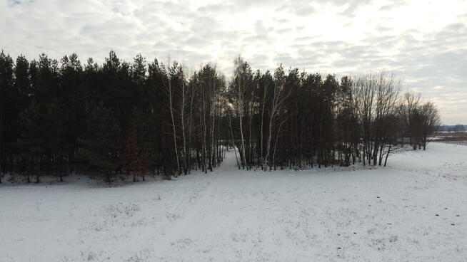 Działka rolno-budowlana w Kośminie gm. Żyrzyn.