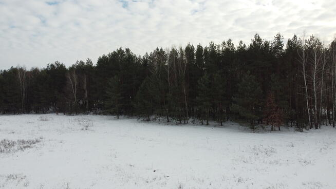Działka rolno-budowlana w Kośminie gm. Żyrzyn.