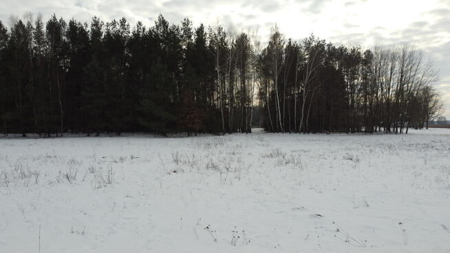 Działka rolno-budowlana w Kośminie gm. Żyrzyn.