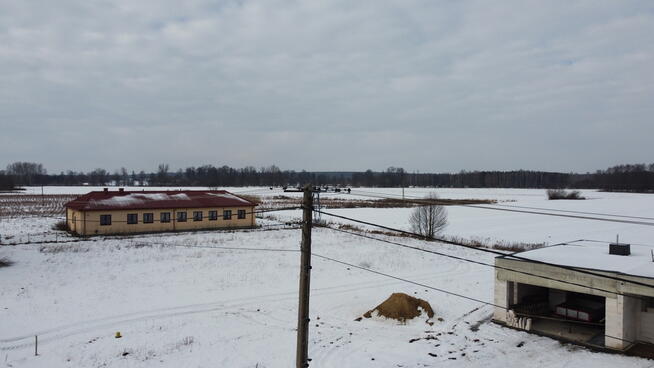 Działka rolno-budowlana w Kośminie gm. Żyrzyn.