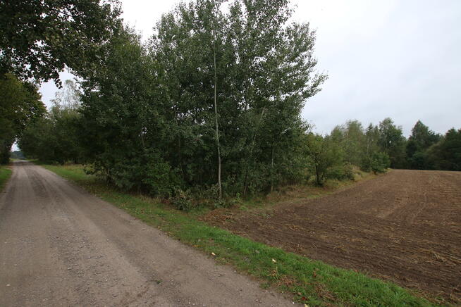 Działka budowlana ok.20 ar Gołąb g. Michów