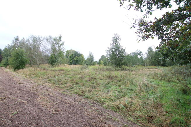 Działka budowlana ok.20 ar Gołąb g. Michów