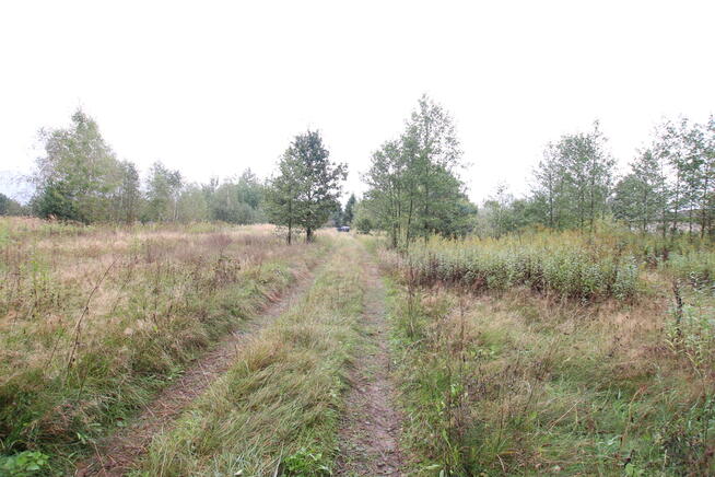 Działka budowlana ok.20 ar Gołąb g. Michów