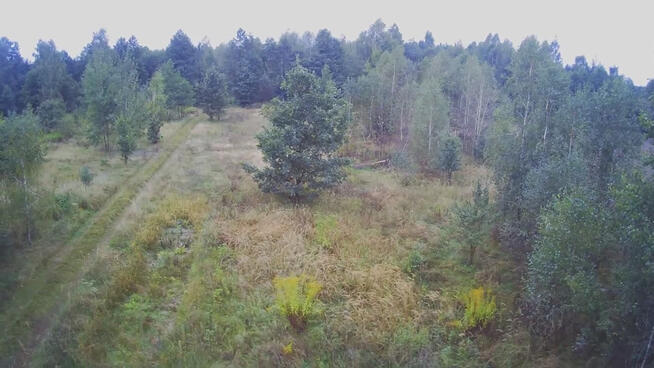 Działka budowlana ok.20 ar Gołąb g. Michów