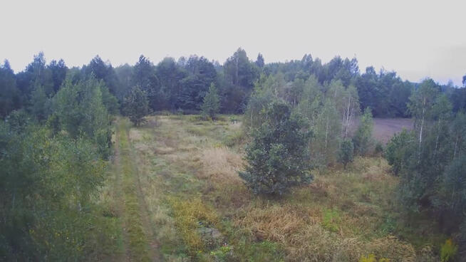 Działka budowlana ok.20 ar Gołąb g. Michów