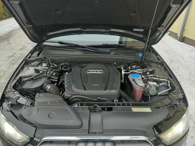 Audi A4 2.0Tdi CR 6-Bieg Sedan Lift 2xLedy Bi-Xenony Navi Zadbana Zarejestrow.