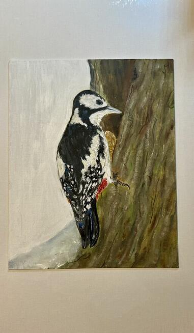 Strażnik lasu – dzięcioł, obraz olejny 24×30 ręcznie malo