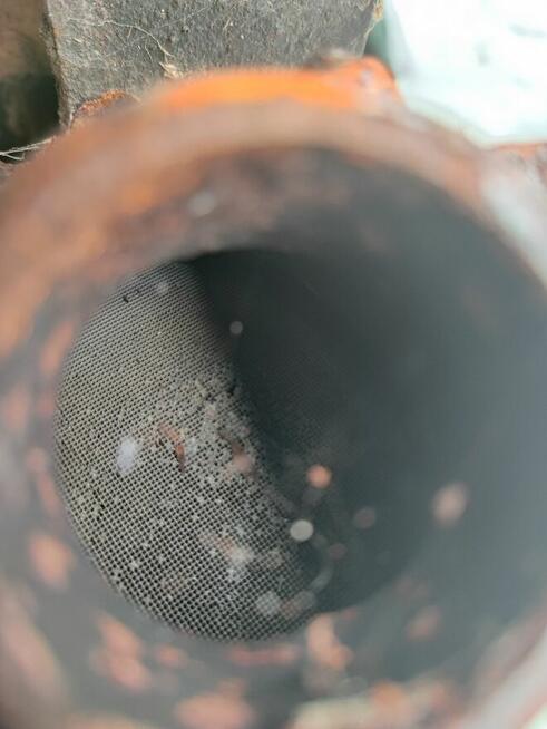 Katalizator Nissan Almera n16 benzyna