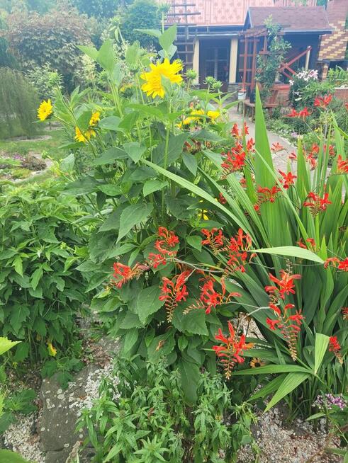 Działka rekreacyjna